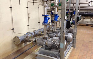 EDUR LBU603 series pump work? for  German municipal wastewater treatment